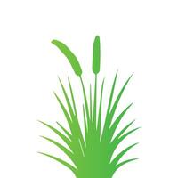 Grass flat design on white background vector