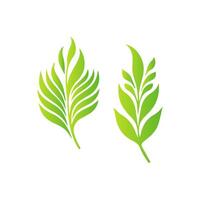 Minimalist Green Leaf Icon vector
