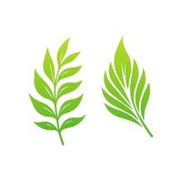 Elegant Green Leaf Icon Design vector