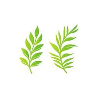 Botanical Green Leaf Artwork vector