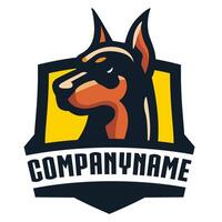 The head of a Doberman dog, in front of a yellow and black shield. Can be used for business logos vector