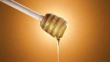 Honey dripping from honey dipper on orange background video
