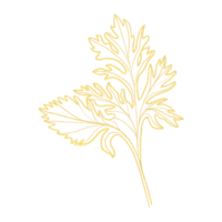 Golden Silhouette Abstract Leaf Outlines png