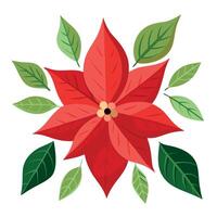 Set of watercolor christmas poinsettia and leaves. isolated on transparent background vector
