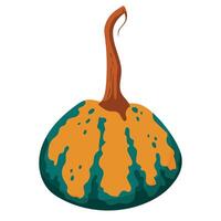 Decorative autumn pumpkin isolated on white background. Fall harvest gourds. Element for autumn design, thanksgiving invitation vector