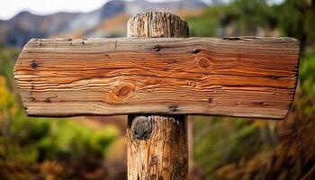 A wooden signpost for hiking trails, leaving space for added text and design, front view. Wooden hiking trail sign arrow with direction on a wooden sign post in woods or mountains. photo