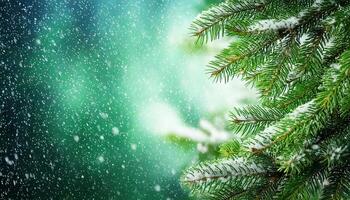 Fir tree branches with green leaves in snowfall, close up, blurred background, banner design. Snow and frozen drops of water on the needles of spruce branches. Postcard with a macro view of nature. photo