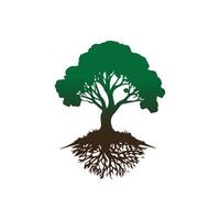 a tree with roots and leaves on a white background vector