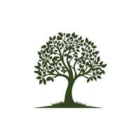 tree with leaves illustration art vector