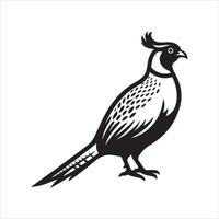Hunting Pheasant bird on white background. vector