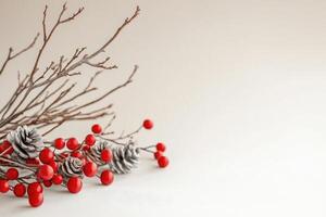 Christmas composition with red berries and pine cones decorating bare branches photo