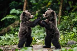 Two brown bear cubs playing in the forest photo