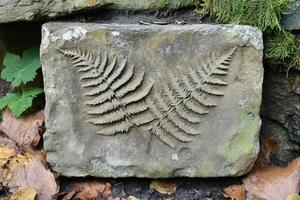 Decorative stone showing imprint of fern leaves in garden setting photo