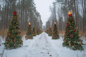 Christmas trees lighting a snowy path in a winter wonderland photo