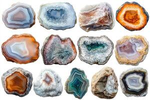 Collection of twelve colorful agate slices and geodes showing natural concentric patterns photo