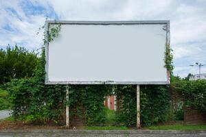 Empty billboard covered with green vines set against a cloudy sky. photo