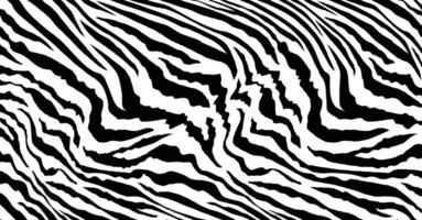 zebra texture background vector