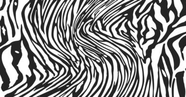 black and white zebra texture background vector