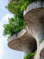 Concrete structure surrounded by lush greenery photo
