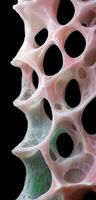 Intricate cellular structure with organic patterns photo