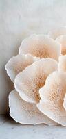Intricate organic patterns of a delicate mushroom photo