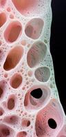 abstract organic cellular structure pattern photo