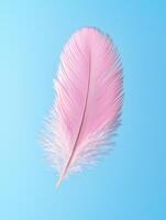 Soft pink feather against a vibrant blue background photo