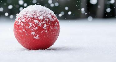 Snowy red apple on winter background photo