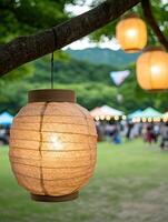 Illuminated paper lanterns hanging from tree branch in park photo