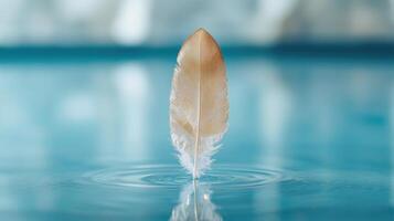 Feather floating on water surface photo