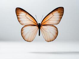 Stunning orange butterfly with intricate wing patterns photo