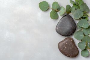 Tranquil nature scene with stones and leaves photo