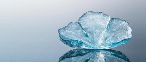 Intricate ice crystal formation reflecting on surface photo
