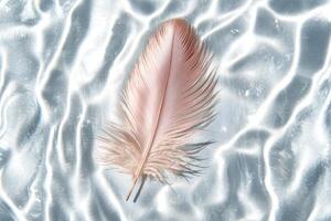 Delicate pink feather on a soft, textured background photo