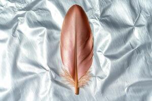 Elegant feather on shiny metallic background photo