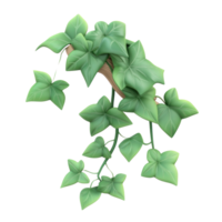 Ivy 3D icon cartoon smooth soft light isolate on transparent background png