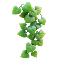 Ivy 3D icon isolate on transparent background png