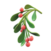 Mistletoe 3D icon isolate on transparent background png
