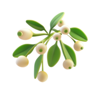 Mistletoe 3D icon cartoon smooth soft light isolate on transparent background png