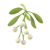 Mistletoe 3D icon isolate on transparent background png