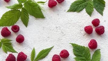 Fresh organic ripe raspberry video