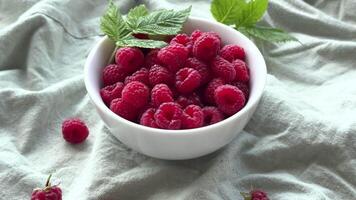 Fresh organic ripe raspberry video