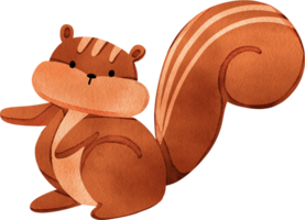 A playful squirrel is standing with its right arm raised, waiting for food, hand-drawn watercolor illustration png