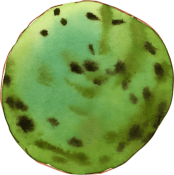 hielo crema acuarela dibujado a mano png