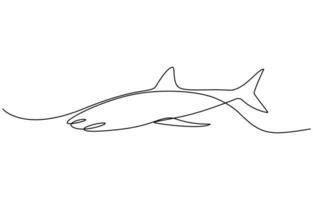Continuous one line drawing of shark fish vector