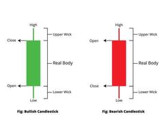 Bullish and Bearish candlesticks.Candlestick isolated on white. vector