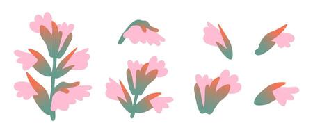 isolated acanthus set in shape style vector