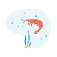 shrimp swims in the sea underwater. Poster with shrimp on white background. Character in children's style. illustration. vector