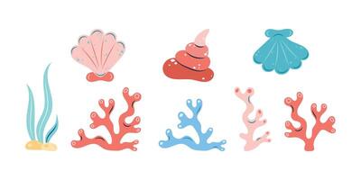 Set of shells and corals. Isolated illustration. vector