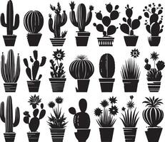 Various cactus plants in pots on a white background vector